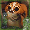 rollk's Avatar