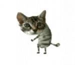laur_bara's Avatar