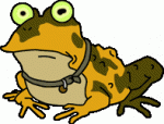 joelless01's Avatar