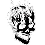 never_sane's Avatar