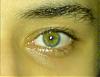 Sailas's Avatar