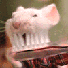 ionut2003's Avatar