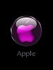 Pulsa en la imagen para verla en tamao completo

Nombre: apple.jpg
Visitas: 82
Tamao: 9,1 KB
ID: 77271