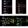 Pulsa en la imagen para verla en tamao completo

Nombre: scr18-26-14-tile.jpg
Visitas: 310
Tamao: 109,6 KB
ID: 77508
