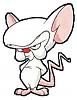 Avatar de charous23