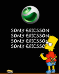 Avatar de radical