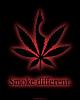Avatar de boss1423