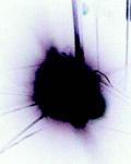 Avatar de antelmo