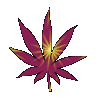 Avatar de crismar