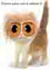 Avatar de Muyahidin