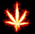 Avatar de joakins