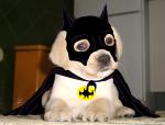 Avatar de Damlow