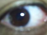 Avatar de zort