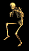 Avatar de carj88