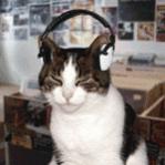Avatar de gatosuso