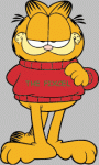 Avatar de THE FIXCEL