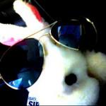 Avatar de Jorge Conejo